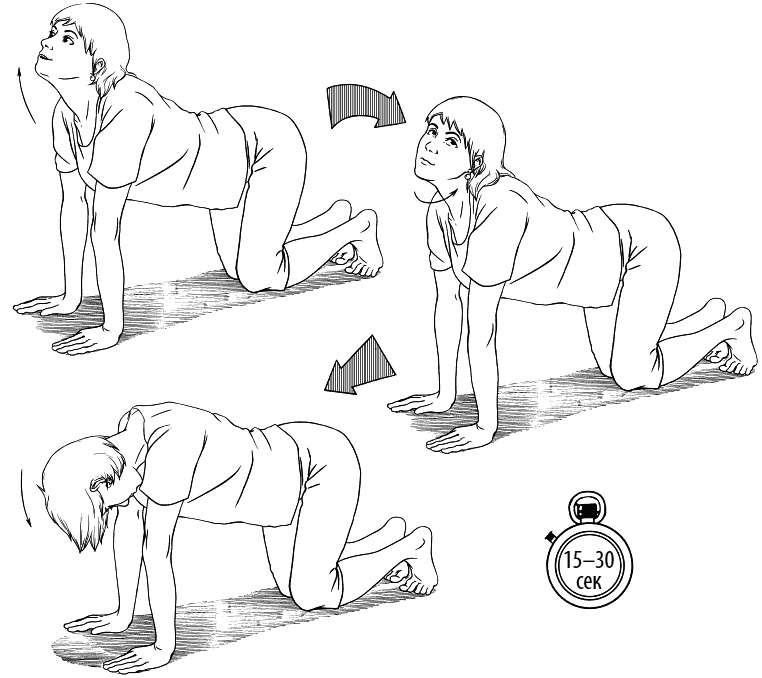 Иллюстрация к книге — Сердце и сосуды. Большая энциклопедия здоровья [_182.jpg]