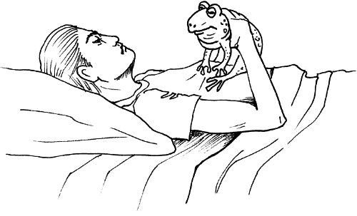 Иллюстрация к книге — Сердце и сосуды. Большая энциклопедия здоровья [_367.jpg]