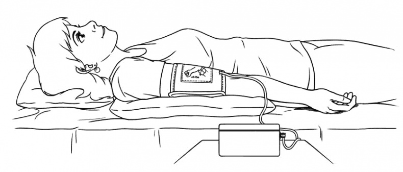 Иллюстрация к книге — Сердце и сосуды. Большая энциклопедия здоровья [_490_2.jpg]