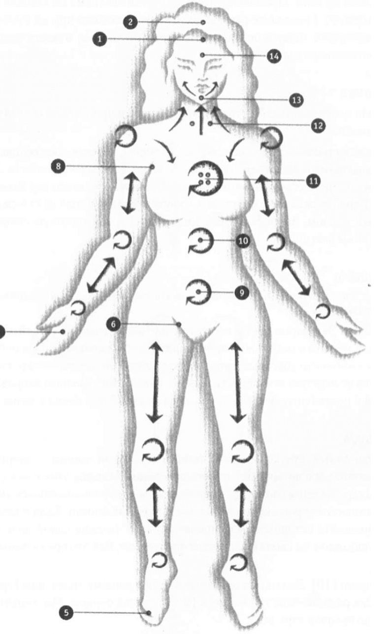 Иллюстрация к книге — Абсолютная красота. Сияющая кожа и внутренняя гармония. Древние тайны аюрведы [i_012.jpg]