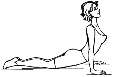 Иллюстрация к книге — 40+. Уход за телом [_143.jpg]