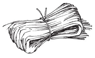 Иллюстрация к книге — 30+. Уход за телом [i_010.jpg]