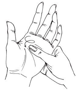 Иллюстрация к книге — 30+. Уход за телом [i_030.jpg]