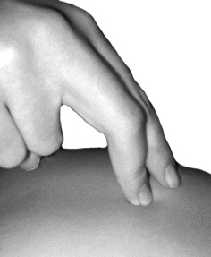 Иллюстрация к книге — Целительные точки для лечения щитовидной железы [autogen_ebook_id17.jpg]