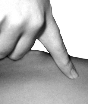 Иллюстрация к книге — Целительные точки для лечения щитовидной железы [autogen_ebook_id24.jpg]