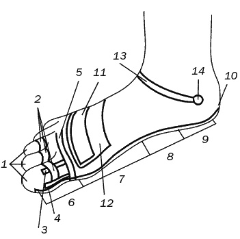 Иллюстрация к книге — Целительные точки для лечения щитовидной железы [autogen_ebook_id27.jpg]