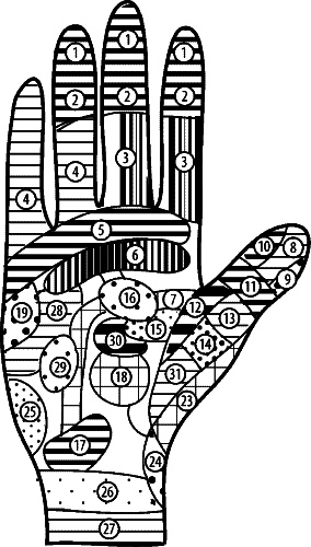 Иллюстрация к книге — Целительные точки для лечения щитовидной железы [autogen_ebook_id31.jpg]