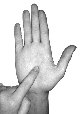 Иллюстрация к книге — Целительные точки для лечения щитовидной железы [autogen_ebook_id35.jpg]