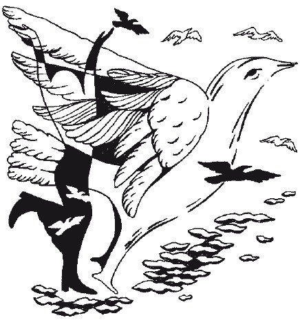 Иллюстрация к книге — Худеем во сне. Биоритмы стройности [i_006.jpg]