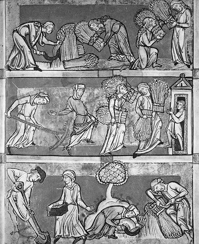 Иллюстрация к книге — История Германии [i_051.jpg]