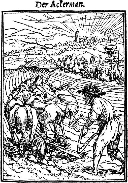 Иллюстрация к книге — История Германии [i_082.jpg]