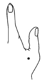 Иллюстрация к книге — Лечебный самомассаж. Основные техники [i_005.jpg]