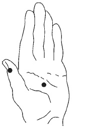 Иллюстрация к книге — Лечебный самомассаж. Основные техники [i_006.jpg]