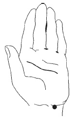 Иллюстрация к книге — Лечебный самомассаж. Основные техники [i_008.jpg]