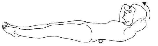 Иллюстрация к книге — Лечебный самомассаж. Основные техники [i_016.jpg]