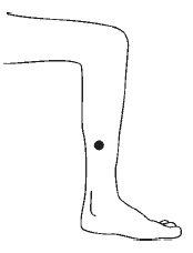 Иллюстрация к книге — Лечебный самомассаж. Основные техники [i_021.jpg]