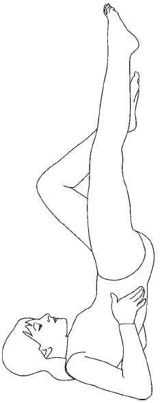 Иллюстрация к книге — Лечебный самомассаж. Основные техники [i_024.jpg]