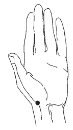 Иллюстрация к книге — Лечебный самомассаж. Основные техники [i_050.jpg]