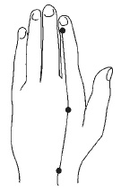 Иллюстрация к книге — Лечебный самомассаж. Основные техники [i_064.jpg]