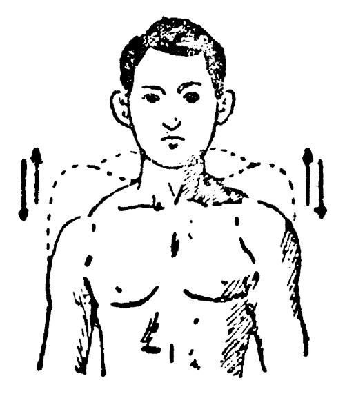 Иллюстрация к книге — Живые капилляры: Важнейший фактор здоровья! Методики Залманова, Ниши, Гогулан [_0481.jpg]