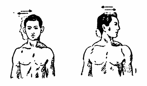 Иллюстрация к книге — Живые капилляры: Важнейший фактор здоровья! Методики Залманова, Ниши, Гогулан [_04844.jpg]