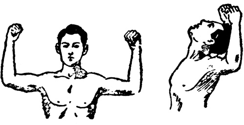 Иллюстрация к книге — Живые капилляры: Важнейший фактор здоровья! Методики Залманова, Ниши, Гогулан [_0494.jpg]