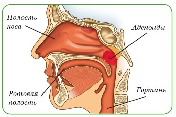 Иллюстрация к книге — Энциклопедия диагностики и лечения от А до Я [i_001.jpg]