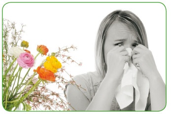 Иллюстрация к книге — Энциклопедия диагностики и лечения от А до Я [i_008.jpg]