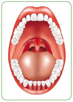Иллюстрация к книге — Энциклопедия диагностики и лечения от А до Я [i_012.jpg]