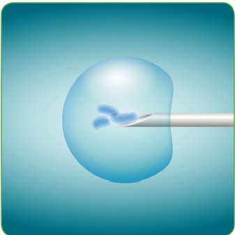 Иллюстрация к книге — Энциклопедия диагностики и лечения от А до Я [i_035.jpg]