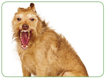 Иллюстрация к книге — Энциклопедия диагностики и лечения от А до Я [i_039.jpg]