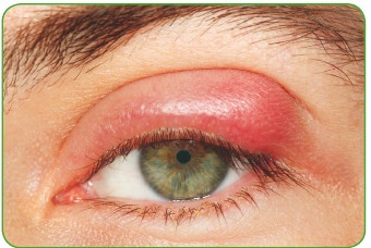 Иллюстрация к книге — Энциклопедия диагностики и лечения от А до Я [i_041.jpg]