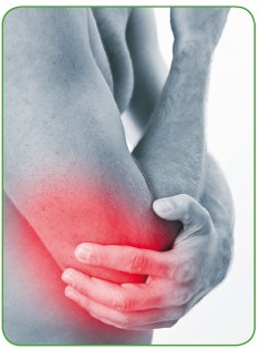 Иллюстрация к книге — Энциклопедия диагностики и лечения от А до Я [i_051.jpg]