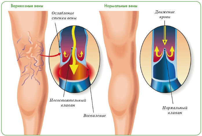 Иллюстрация к книге — Энциклопедия диагностики и лечения от А до Я [i_052.jpg]