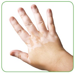 Иллюстрация к книге — Энциклопедия диагностики и лечения от А до Я [i_056.jpg]