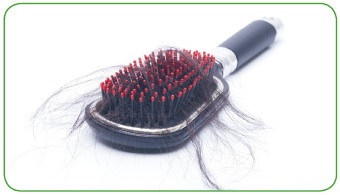 Иллюстрация к книге — Энциклопедия диагностики и лечения от А до Я [i_059.jpg]