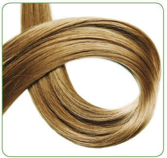 Иллюстрация к книге — Энциклопедия диагностики и лечения от А до Я [i_061.jpg]