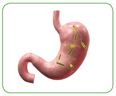 Иллюстрация к книге — Энциклопедия диагностики и лечения от А до Я [i_064.jpg]