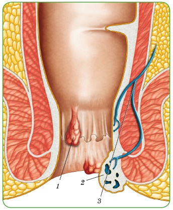 Иллюстрация к книге — Энциклопедия диагностики и лечения от А до Я [i_069.jpg]