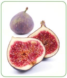 Иллюстрация к книге — Энциклопедия диагностики и лечения от А до Я [i_070.jpg]