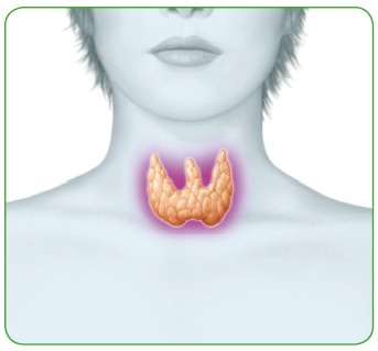 Иллюстрация к книге — Энциклопедия диагностики и лечения от А до Я [i_079.jpg]