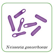 Иллюстрация к книге — Энциклопедия диагностики и лечения от А до Я [i_089.jpg]