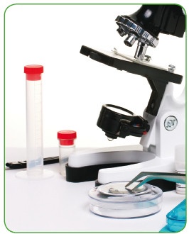 Иллюстрация к книге — Энциклопедия диагностики и лечения от А до Я [i_095.jpg]