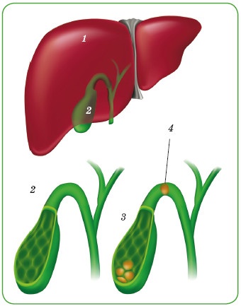 Иллюстрация к книге — Энциклопедия диагностики и лечения от А до Я [i_104.jpg]