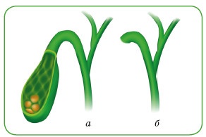 Иллюстрация к книге — Энциклопедия диагностики и лечения от А до Я [i_105.jpg]