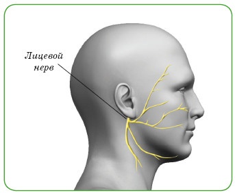 Иллюстрация к книге — Энциклопедия диагностики и лечения от А до Я [i_136.jpg]
