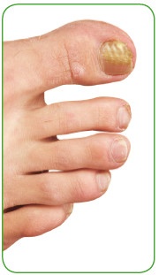 Иллюстрация к книге — Энциклопедия диагностики и лечения от А до Я [i_141.jpg]