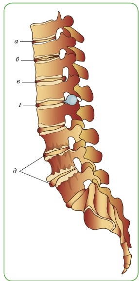 Иллюстрация к книге — Энциклопедия диагностики и лечения от А до Я [i_151.jpg]