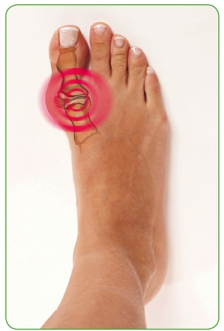 Иллюстрация к книге — Энциклопедия диагностики и лечения от А до Я [i_168.jpg]