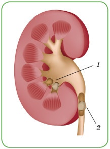 Иллюстрация к книге — Энциклопедия диагностики и лечения от А до Я [i_170.jpg]